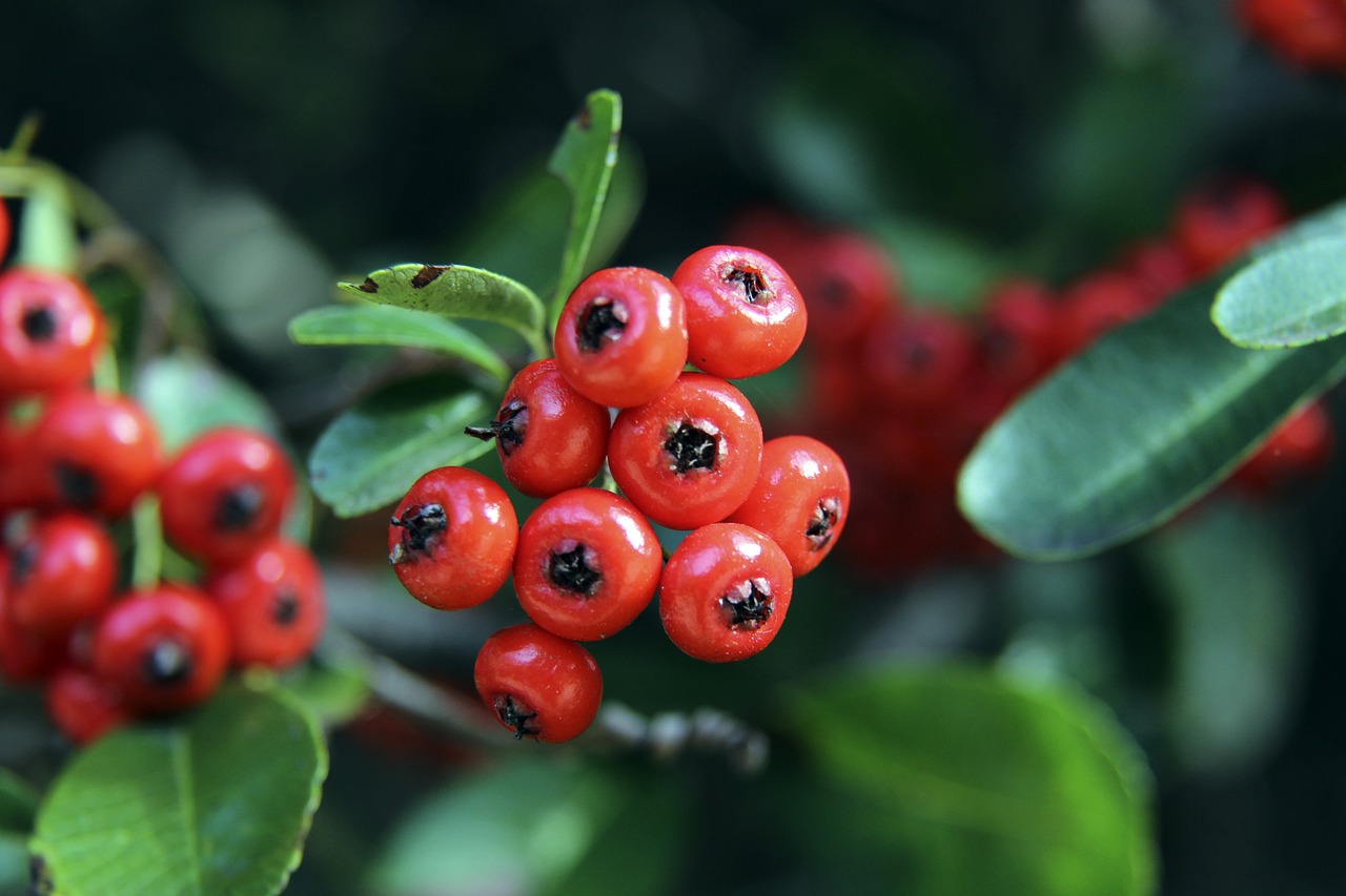 式比赛中的 式比赛中的