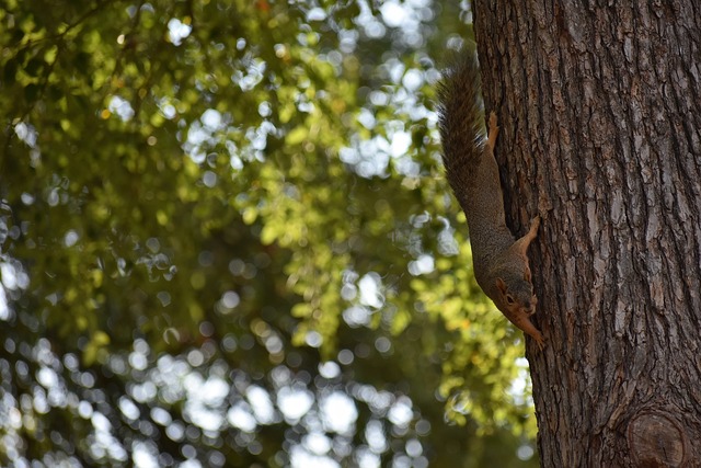 竞争在各支 竞争在各支