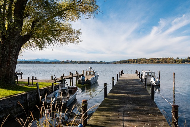 调查的进展 调查的进展