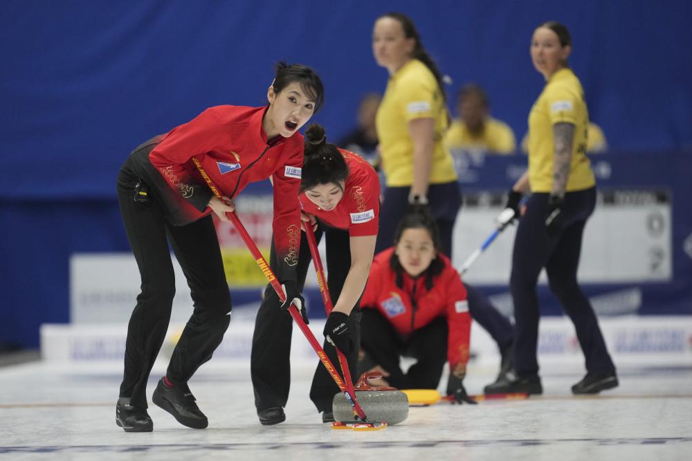 他的经历无 他的经历无