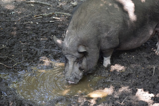 摆脱消耗型 摆脱消耗型