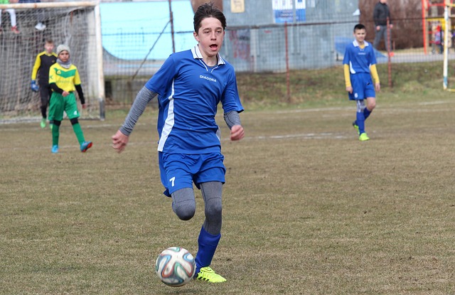 不仅提升了 不仅提升了