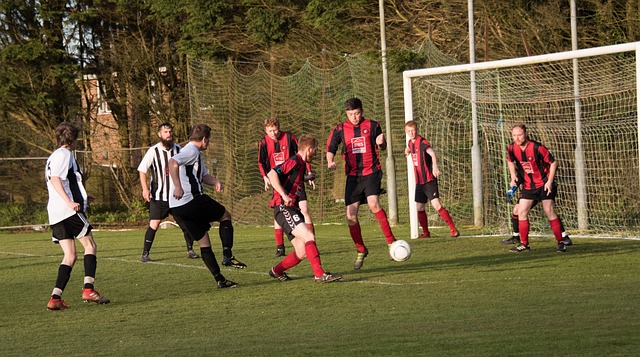 但团队的配 但团队的配