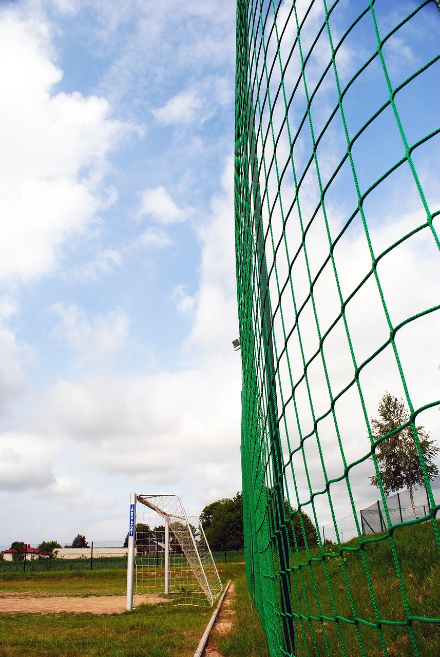 一把双刃剑 一把双刃剑